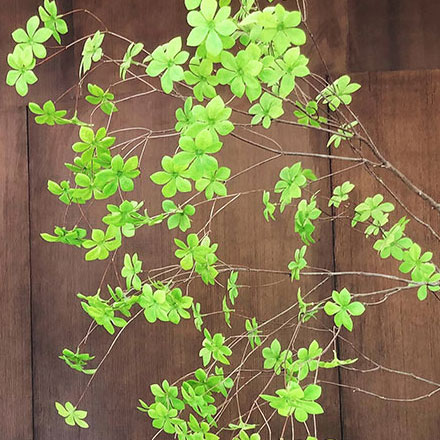 如何利用餐飲網(wǎng)站的SEO來提高搜索排名？